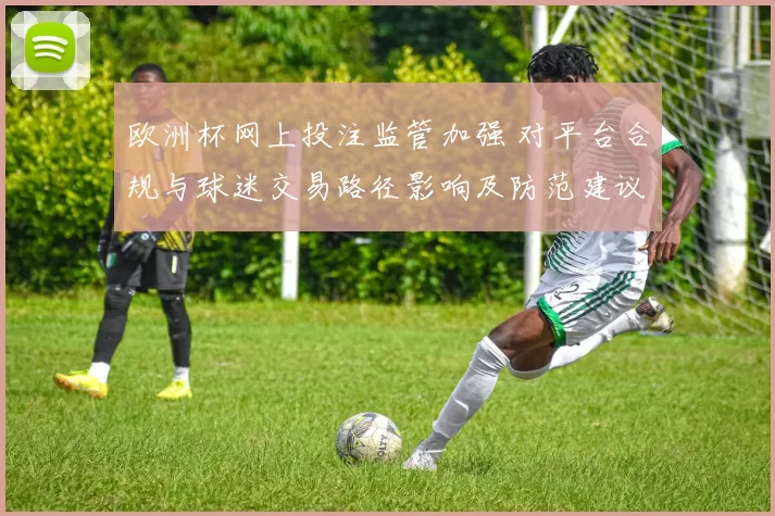 欧洲杯网上投注监管加强 对平台合规与球迷交易路径影响及防范建议