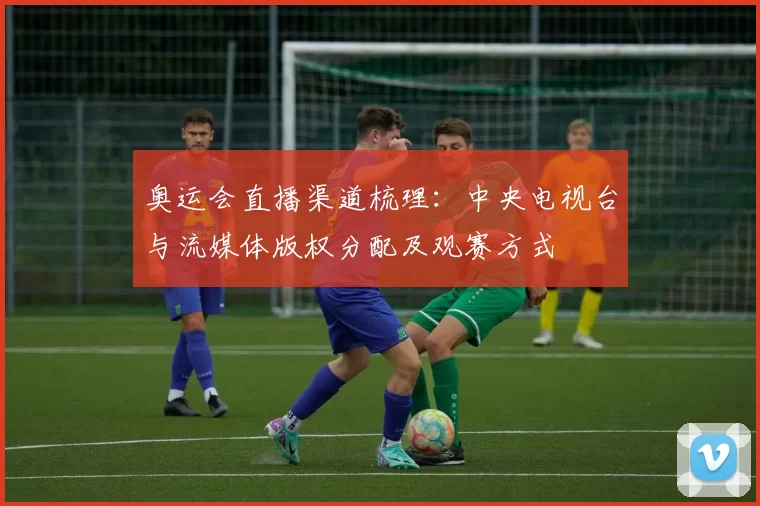 奥运会直播渠道梳理：中央电视台与流媒体版权分配及观赛方式